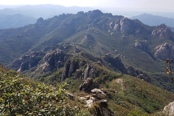 Hiking Mt. Wolchulsan National Park by KTX Train - Descending the Mountain