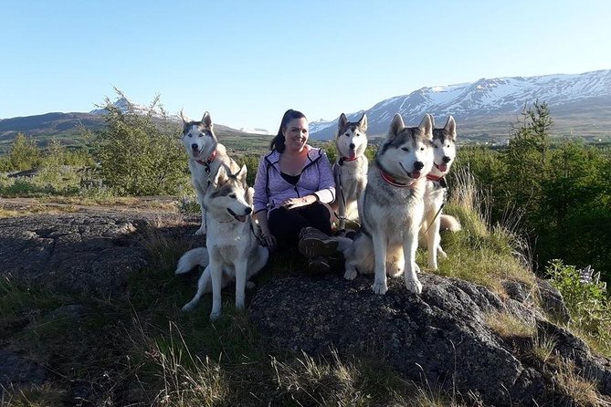 Hiking With Husky in Akureyri (Private) - Final Thoughts