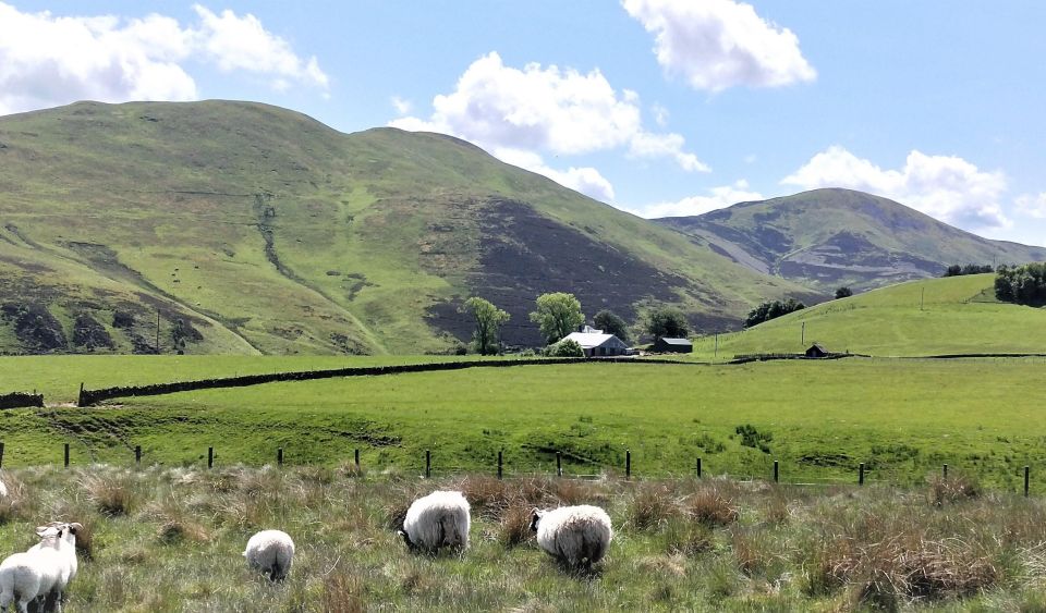 Hill & Nature Hike - Discover Real Edinburgh With a Local - Logistics and Itinerary