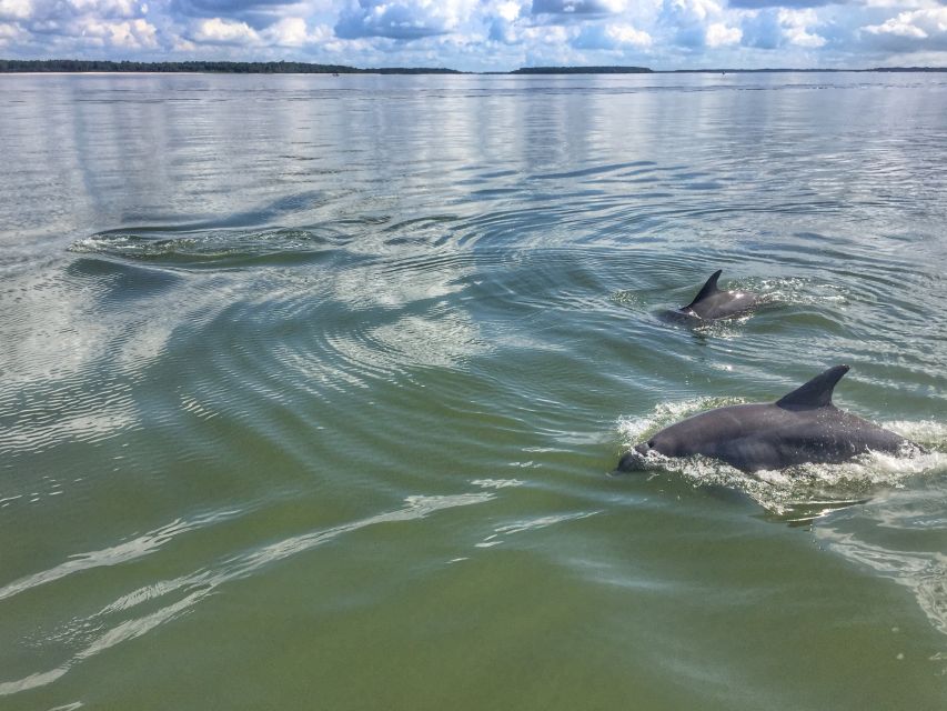 Hilton Head Island: Sunset Dolphin Watching Tour - Additional Information