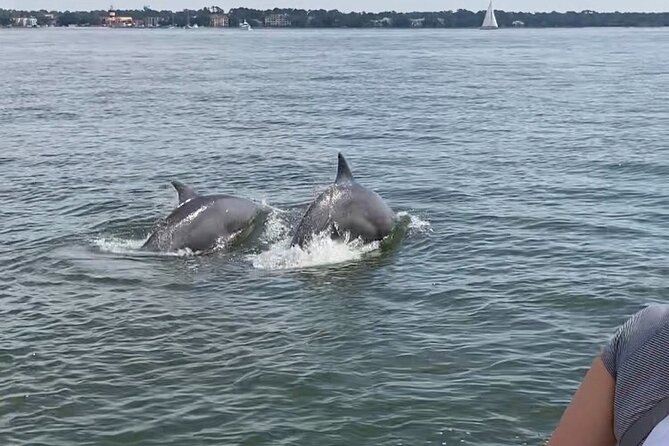 Hilton Head Vanishing Mile Isle Private Boat Charter  - Hilton Head Island - Route and Sightseeing Destinations