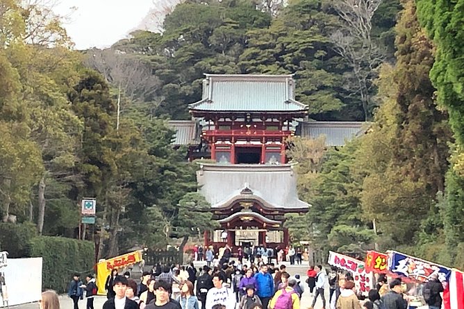 Historic Kamakura: Temples, Shrines and Street Food Private Walking Tour - Inclusions and Exclusions