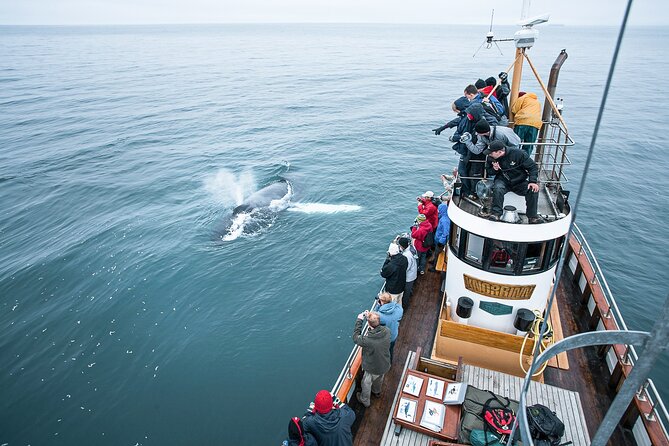 Hjalteyri Whale-Watching Tour on Traditional Oak Ship  - Akureyri - Common questions