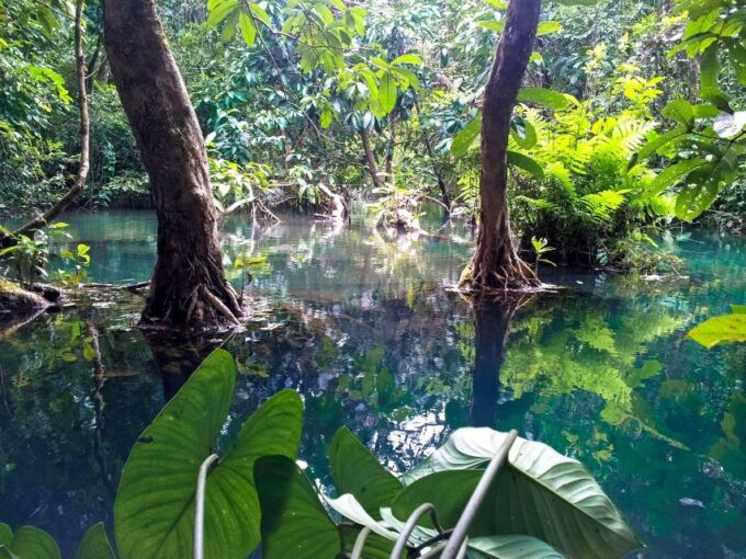 Ho Chi Minh: Private Can Gio Mangrove Forest Day Tour - Additional Information