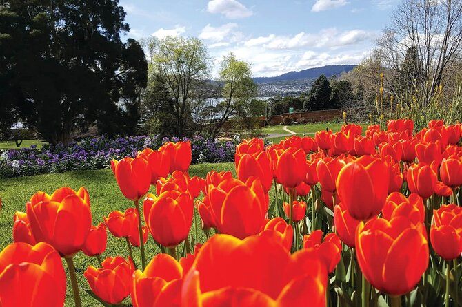 Hobart Half-Day Sightseeing City Tour - Directions and How to Book