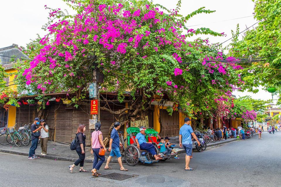 Hoi An: My Son Sanctuary & Ancient Town Day Tour With Lunch - Additional Information