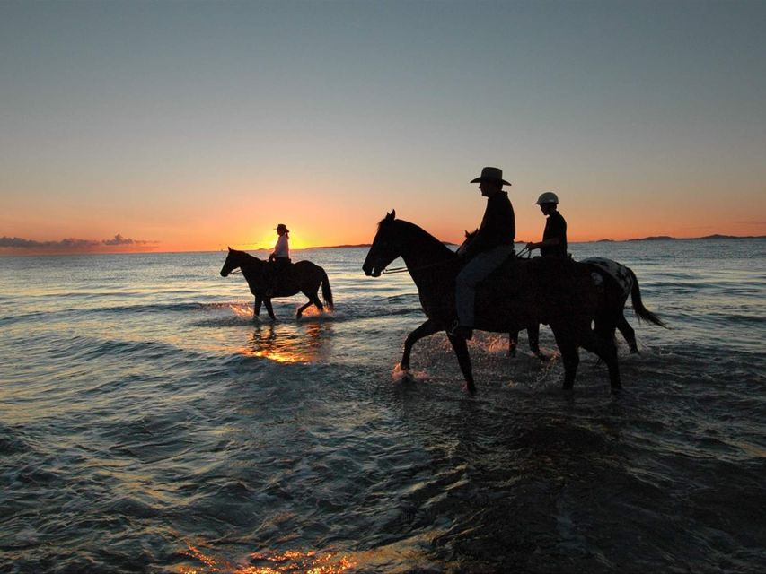 Holbox: Guided Horseback Ride on the Beach - Location Information