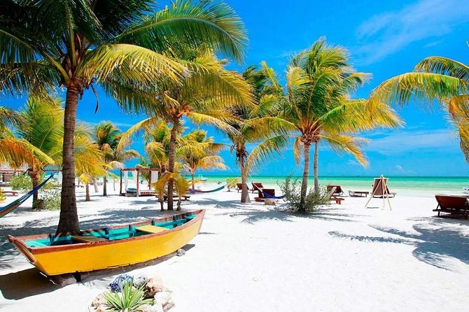 Holbox Island Full Day Trip With Lunch From Playa Del Carmen - Tour Experience and Improvement Recommendations