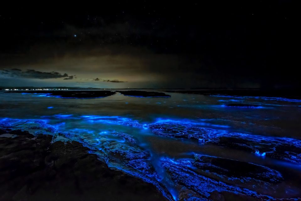 Holbox: Private Bioluminescence Beach Tour by Golf Cart - Common questions