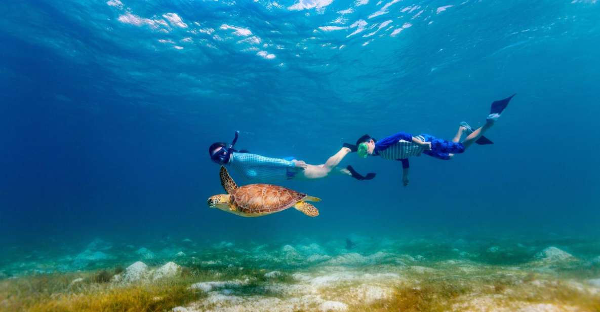 Honolulu: Hanauma Bay State Park Snorkeling Trip - Common questions