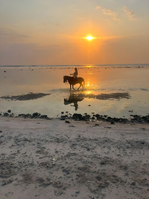 Horse Ride On The Beach on Gili Island - Drop-off Locations