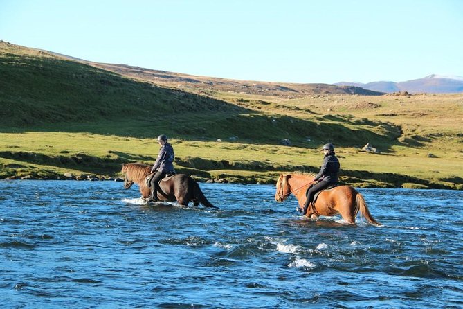 Horse Riding Tour to the Glacier River Delta With Waterfall - Visitor Feedback and Recommendations