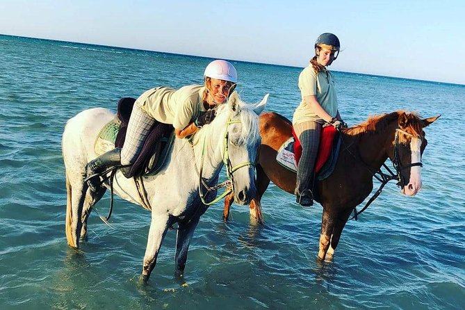 Horse Riding Tour Two Hours Sun & Sea With Transfer - Hurghada - Understanding the Cancellation Policy