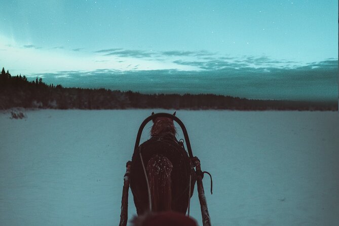 Horse Sleigh Ride Under The Night Sky in Apukka Resort, Rovaniemi - Common questions