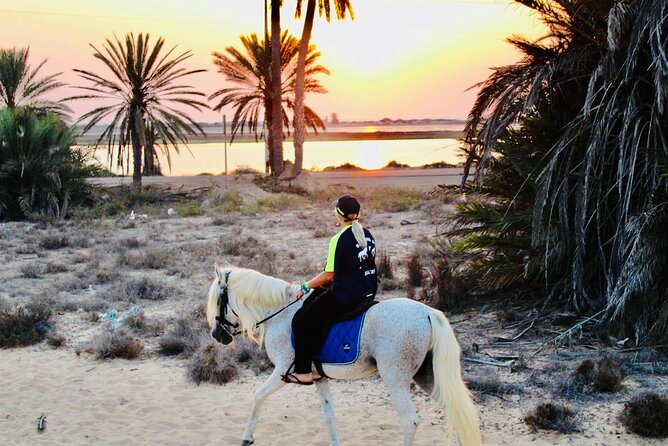 Horseback Riding at Sunrise 3h - Weather Considerations