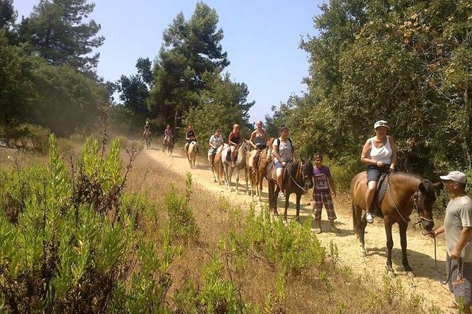 Horseback Riding From Kusadasi Port / Hotels - Customer Reviews