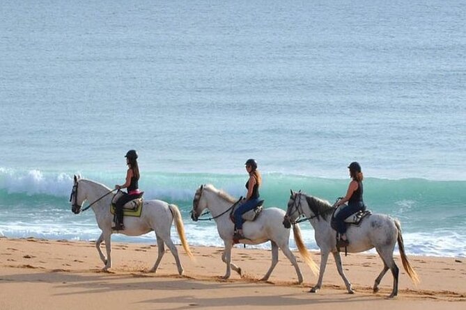 Horseback Riding in the Sunset of Famara Beach, Lanzarote, Spain - Directions & Additional Information