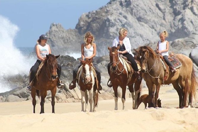 Horseback Riding on The Beach and Through The Desert! - Miscellaneous Information