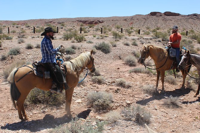 Horseback Riding Tour in Las Vegas - Booking and Scheduling
