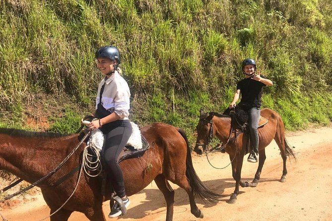 Horseback Riding Tour to Waterfall and Mountain From Medellin  - Medellín - Additional Information Available