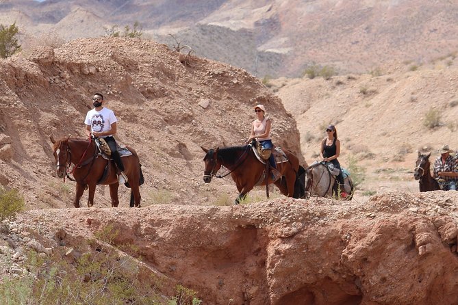 Horseback Riding Tour W/ BBQ Lunch in Vegas - Safety and Comfort