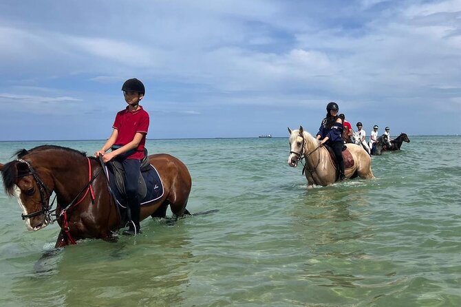 Horseback Riding With Private Transfer - Customer Support and Inquiries Assistance