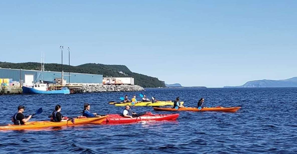 Humber Arm South: Bay of Islands Guided Kayaking Tour - General Information