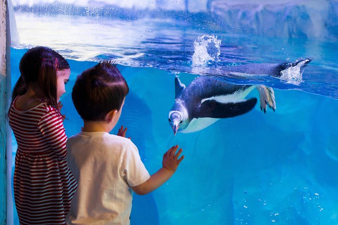 Hunstanton SEA LIFE Sanctuary General Admission Ticket - Lowest Price Guarantee