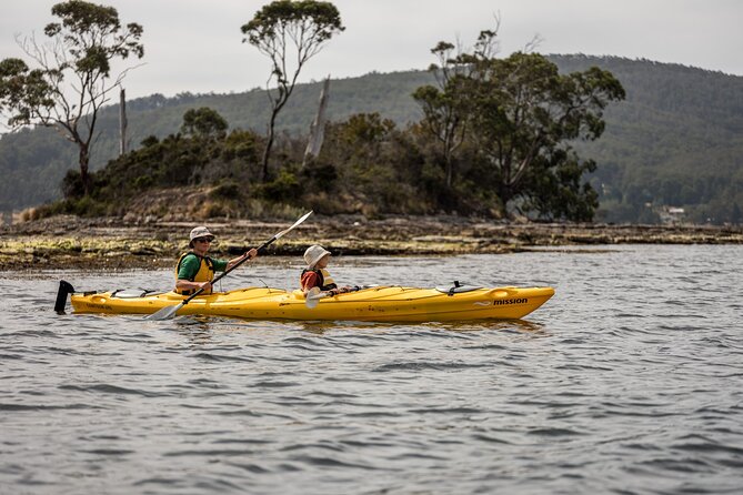 Huon Valley Kayaking and Tahune Adventures - Local Cuisine Delights