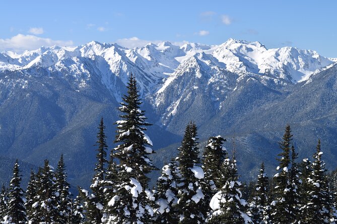 Hurricane Ridge Guided Snowshoe Tour in Olympic National Park - Directions for the Snowshoe Tour