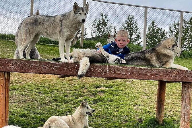 Husky Petting in Akureyri (private) - Additional Information