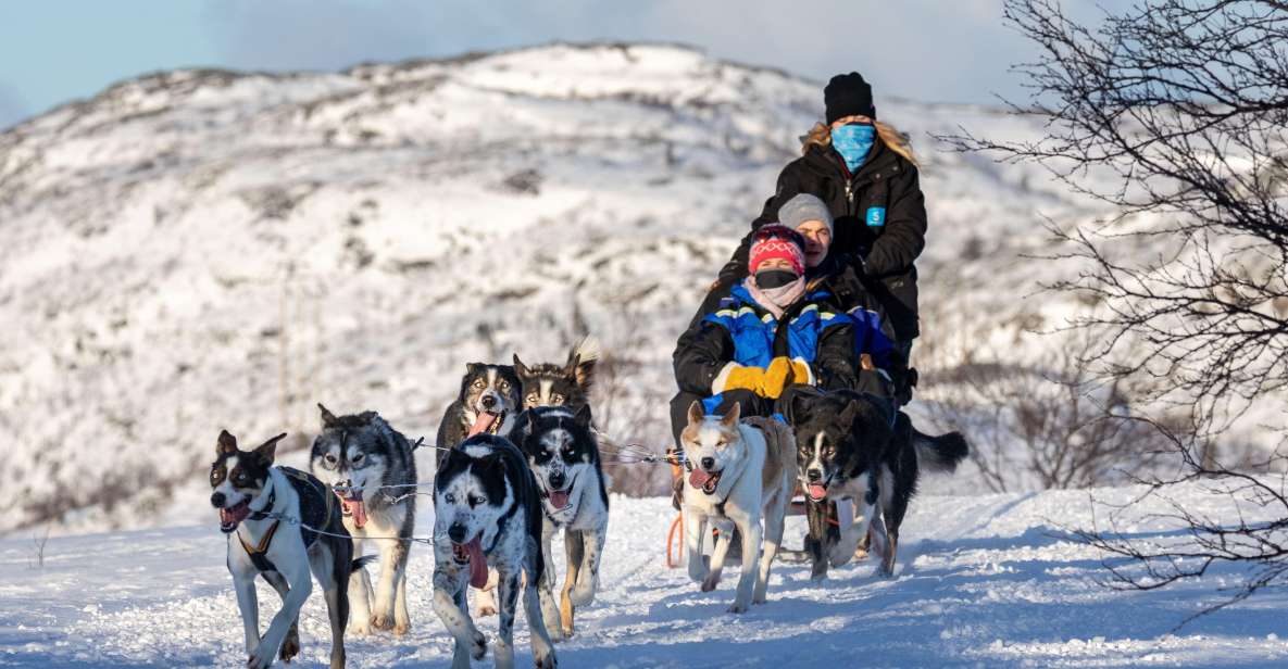 Husky Safari 1 Hour (10 Km) Small-Group Mushing Experience - Additional Services Offered