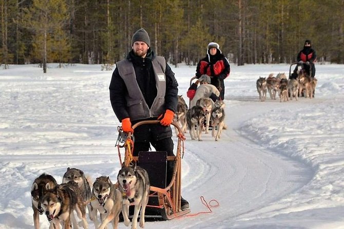 Husky Safari From Levi 2 KM or 5 KM With Husky Sledge Ride - Contact and Additional Details
