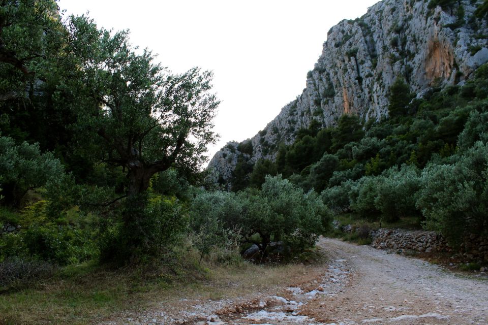 Hvar Abandoned Village Tour With Local Dinner - Additional Information