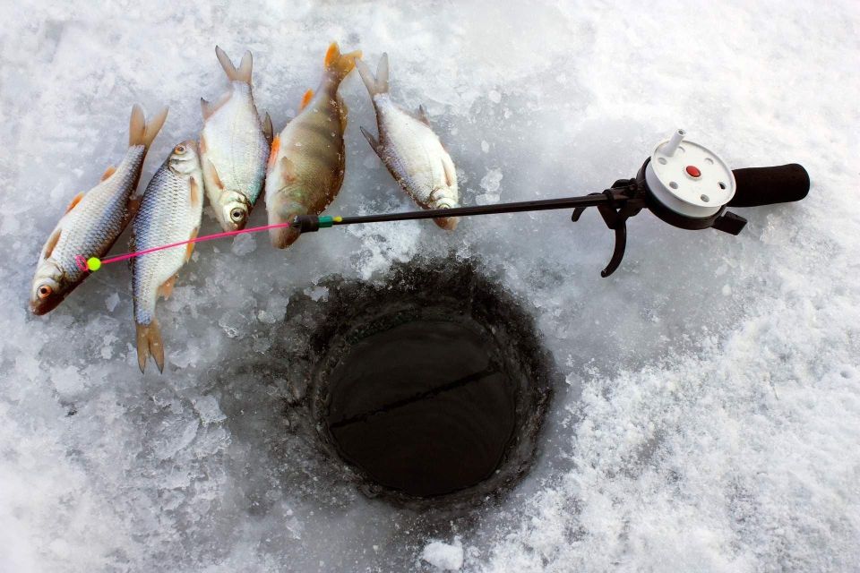 Ice Fishing Adventure in Levi With Salmon Soup - Return to Visit Levi