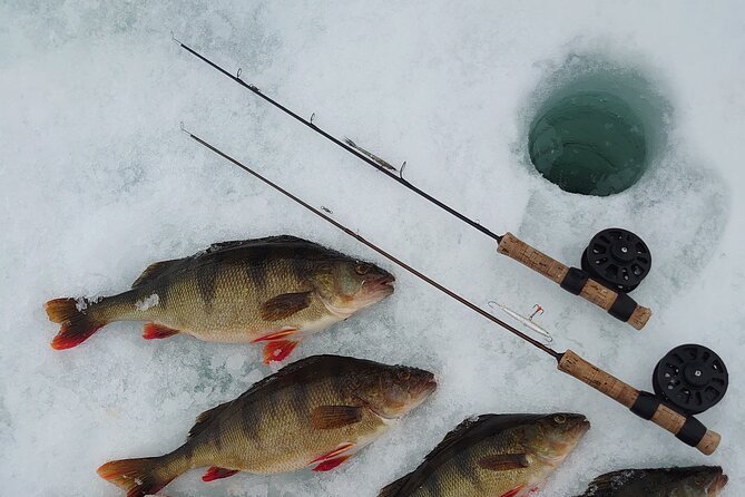 Ice Fishing Trip at Lake Inari - Pricing and Booking Details