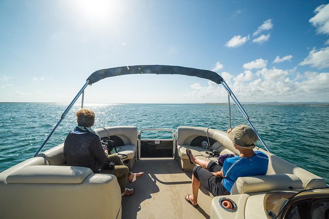 Ilha Deserta and Farol Island: a Small Group Boat Trip in Ria Formosa From Faro - Scenic Views and Recommendations