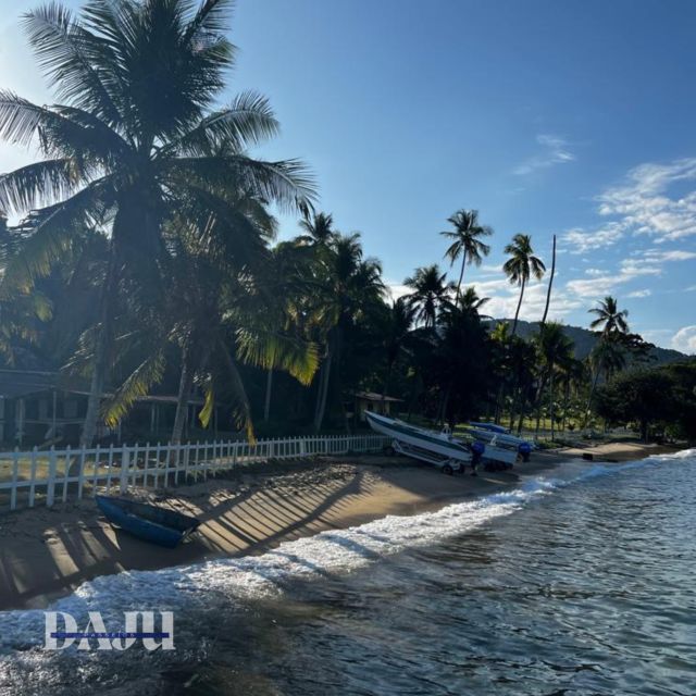 Ilha Grande: Swim With the Little Fish in the Blue and Green Lagoons. - Booking and Reservation Instructions