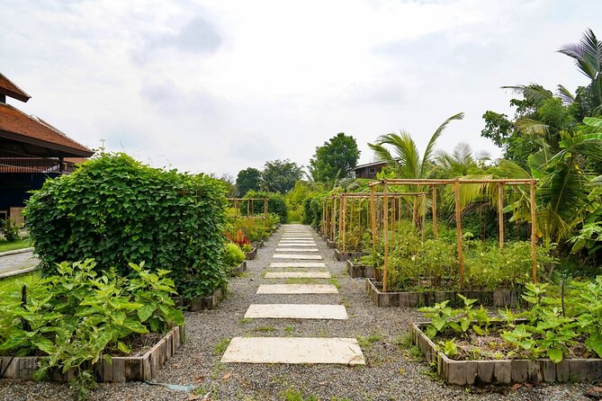 Indulge in Authentic Thai Flavors and Serene Organic Farm (Full Day Course) - Transportation and Logistics for Convenience