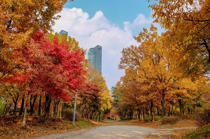 Instagrammable Autumn Foliage Tour From Seoul - Weather Considerations