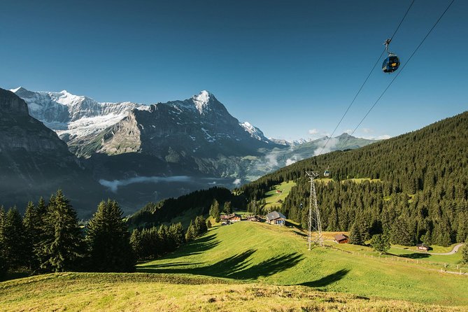 Interlaken and Grindelwald Day Trip From Lucerne - Scenic Beauty