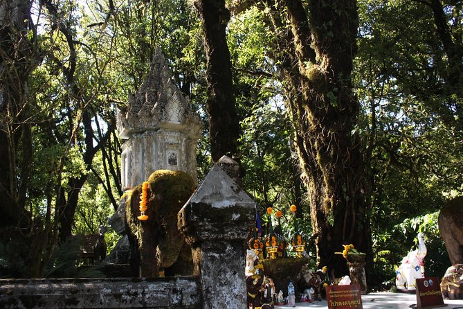 Inthanon Day Trip From Chiang Mai With Lunch - Group or Private - Doi Inthanon National Park Visit