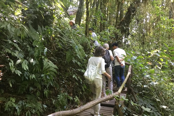 Inthanon Small-Group With Kew Mae Pan Trail From Chiang Mai Include Lunch - Common questions