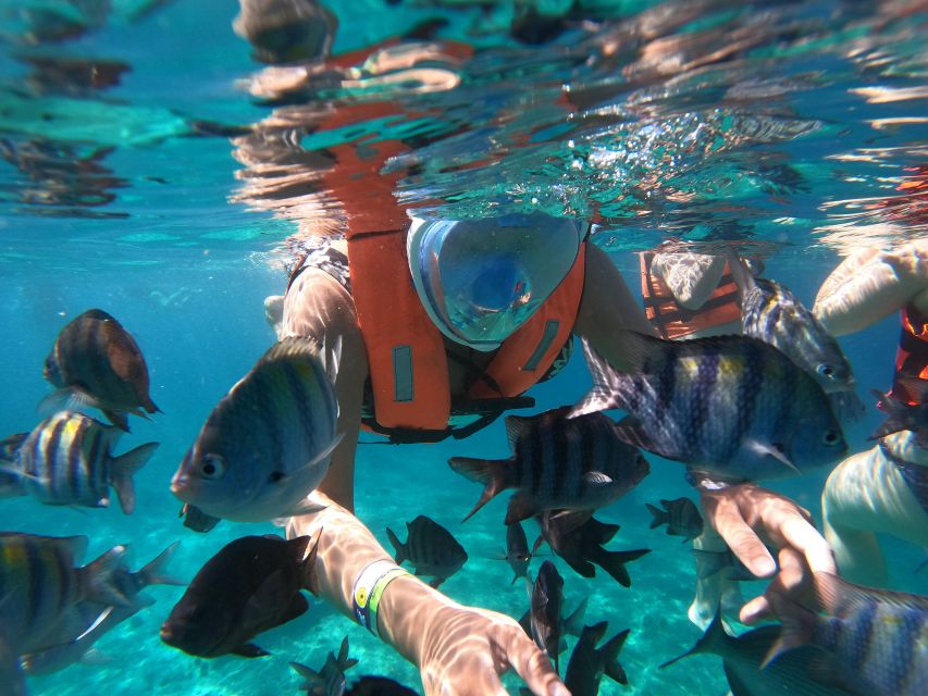 Invisible Boat Snorkeling Adventure in Cozumel - Location Information
