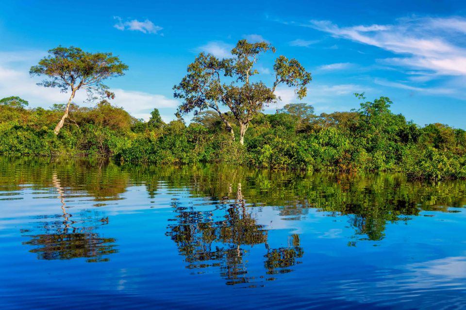 Iquitos: 6-Hour Amazon River Tour W/ Belén & Butterfly Farm - Additional Details and Reservation Options