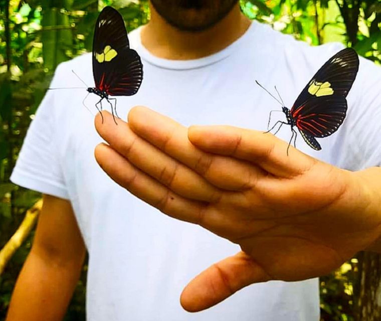 Iquitos: Pilpintuwasi Butterfly Farm Tour - Last Words