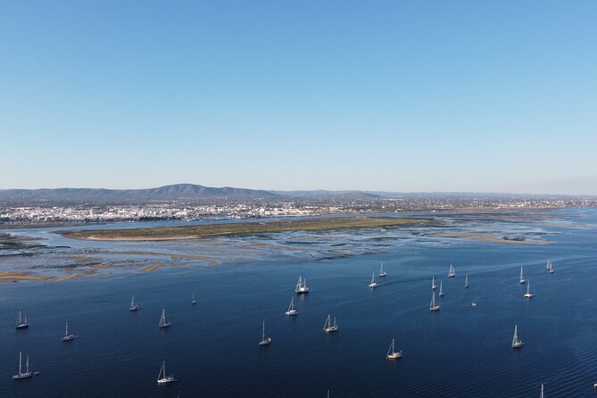 Islands Tour: Half Day Cruise in Ria Formosa National Park - Common questions