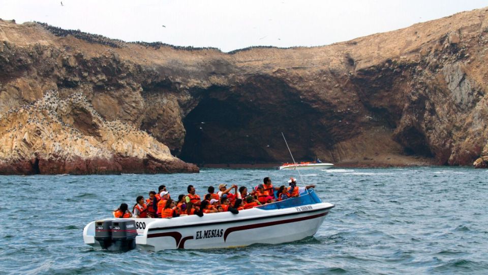 Islas Palomino - Swimming With Sea Lions - Meeting Point Information