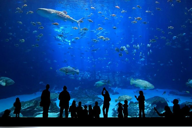 Istanbul Aquarium and Aqua Florya Independent Shopping Trip - Directions and Helpful Tips
