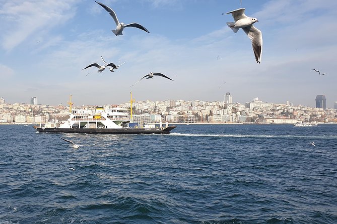 Istanbul Private Guided Tour for Layover Flight. Transfer Incl. - Tour Highlights and Value